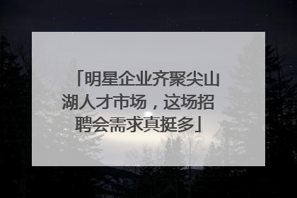明星企业齐聚尖山湖人才市场，这场招聘会需求真挺多