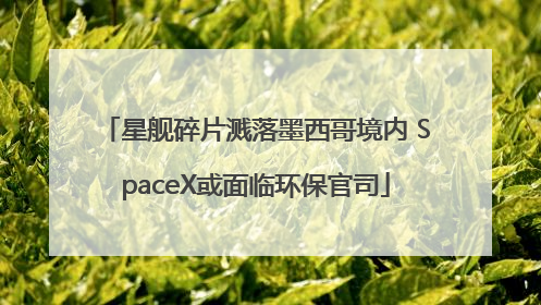 星舰碎片溅落墨西哥境内 SpaceX或面临环保官司