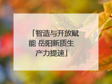 智造与开放赋能 岳阳新质生产力提速