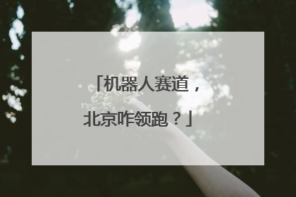 机器人赛道，北京咋领跑？