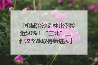 机械治沙造林比例接近50%！“三北”工程攻坚战取得新进展