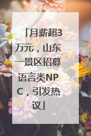 月薪超3万元，山东一景区招募语言类NPC，引发热议