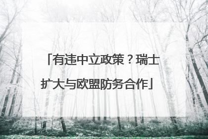 有违中立政策？瑞士扩大与欧盟防务合作