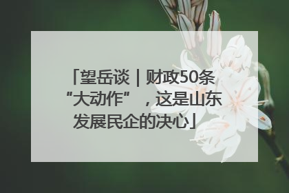 望岳谈｜财政50条“大动作”，这是山东发展民企的决心