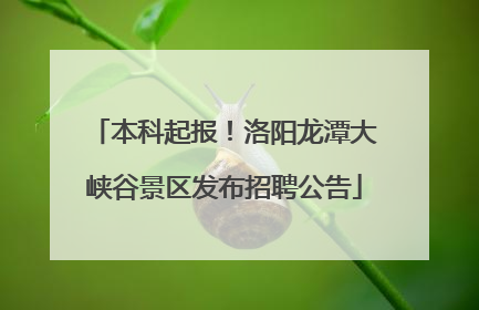 本科起报！洛阳龙潭大峡谷景区发布招聘公告