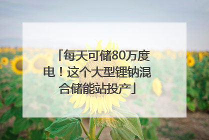 每天可储80万度电！这个大型锂钠混合储能站投产