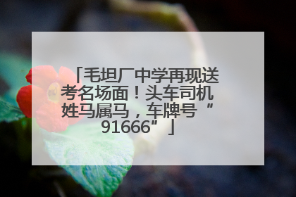 毛坦厂中学再现送考名场面！头车司机姓马属马，车牌号“91666”