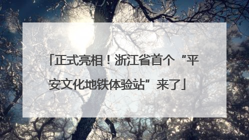 正式亮相！浙江省首个“平安文化地铁体验站”来了