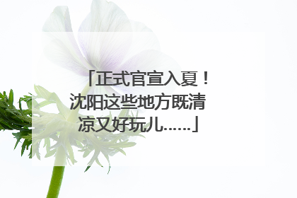 正式官宣入夏！沈阳这些地方既清凉又好玩儿……