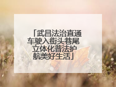 武昌法治直通车驶入街头巷尾 立体化普法护航美好生活