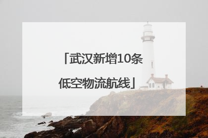 武汉新增10条低空物流航线