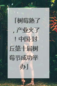 树莓熟了，产业火了！中国·封丘第十届树莓节成功举办