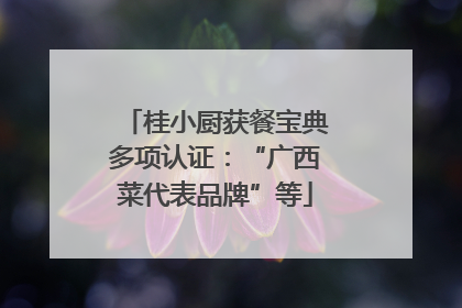 桂小厨获餐宝典多项认证：“广西菜代表品牌”等
