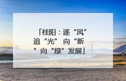 桂阳：逐“风”追“光” 向“新”向“绿”发展
