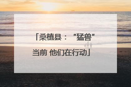 桑植县：“猛兽”当前 他们在行动