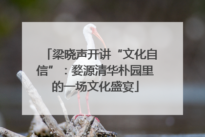 梁晓声开讲“文化自信”：婺源清华朴园里的一场文化盛宴