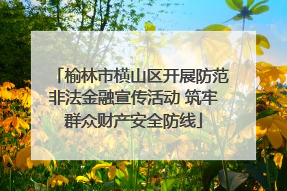 榆林市横山区开展防范非法金融宣传活动 筑牢群众财产安全防线