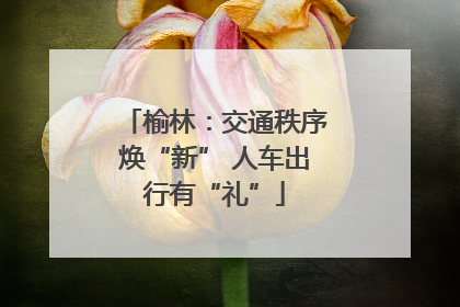 榆林：交通秩序焕“新” 人车出行有“礼”