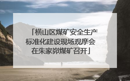 横山区煤矿安全生产标准化建设现场观摩会在朱家峁煤矿召开