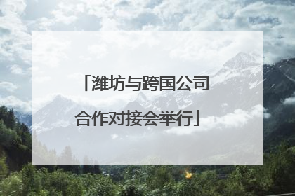 潍坊与跨国公司合作对接会举行