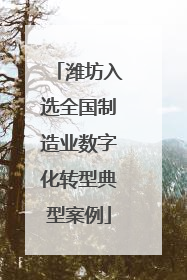 潍坊入选全国制造业数字化转型典型案例