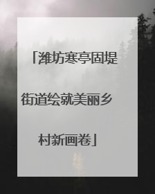 潍坊寒亭固堤街道绘就美丽乡村新画卷