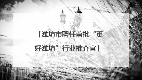 潍坊市聘任首批“更好潍坊”行业推介官