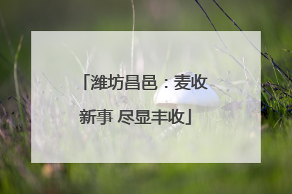 潍坊昌邑：麦收新事 尽显丰收