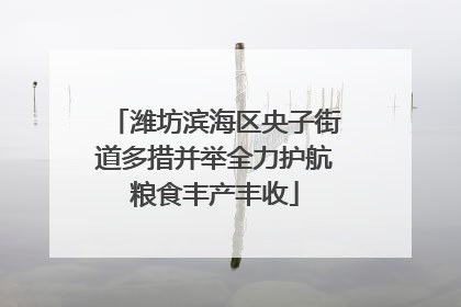 潍坊滨海区央子街道多措并举全力护航粮食丰产丰收