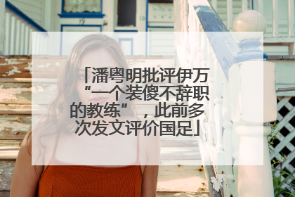 潘粤明批评伊万“一个装傻不辞职的教练”，此前多次发文评价国足