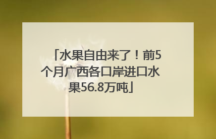 水果自由来了！前5个月广西各口岸进口水果56.8万吨