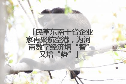 民革东南十省企业家再聚航空港，为河南数字经济增“智”又增“势”