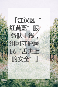 江汉区“红黄蓝”服务队上线，组团守护居民“舌尖上的安全”