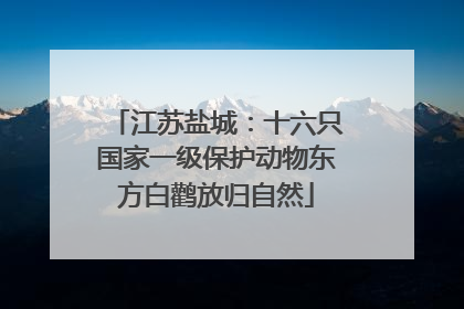 江苏盐城：十六只国家一级保护动物东方白鹳放归自然