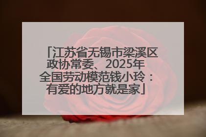 江苏省无锡市梁溪区政协常委、2025年全国劳动模范钱小玲：有爱的地方就是家