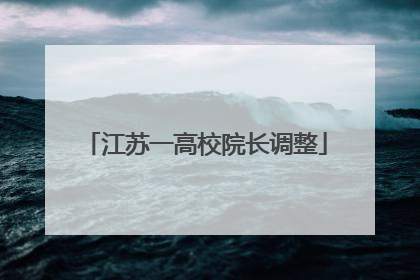 江苏一高校院长调整
