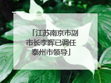江苏南京市副市长李晖已调任泰州市领导