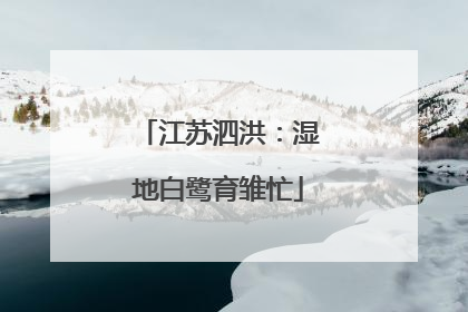 江苏泗洪：湿地白鹭育雏忙