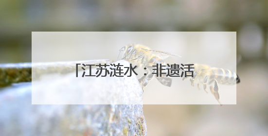江苏涟水：非遗活态传承、特产走红出圈、乡村人气看涨