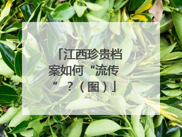 江西珍贵档案如何“流传”？（图）