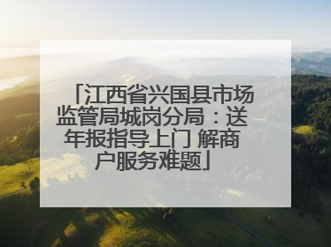 江西省兴国县市场监管局城岗分局：送年报指导上门 解商户服务难题
