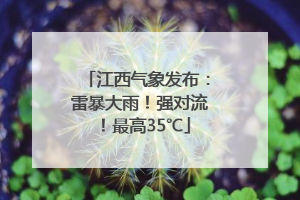 江西气象发布：雷暴大雨！强对流！最高35℃
