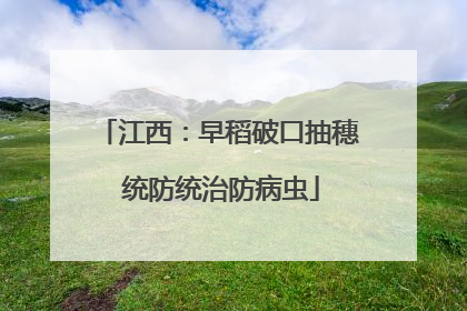 江西：早稻破口抽穗 统防统治防病虫