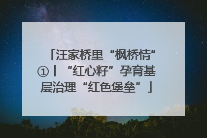 汪家桥里“枫桥情”①丨“红心籽”孕育基层治理“红色堡垒”