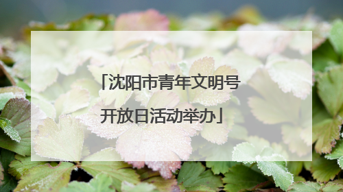 沈阳市青年文明号开放日活动举办