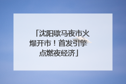 沈阳歇马夜市火爆开市！首发引擎点燃夜经济
