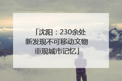 沈阳：230余处新发现不可移动文物重现城市记忆