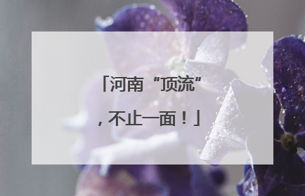 河南“顶流”，不止一面！