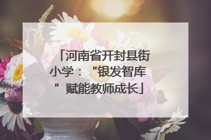 河南省开封县街小学：“银发智库”赋能教师成长