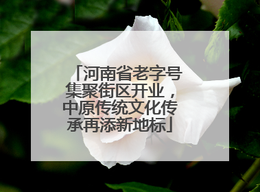 河南省老字号集聚街区开业，中原传统文化传承再添新地标